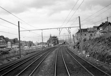 Halle - BD-4455.jpg